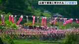 山里で春風に吹かれる7000匹のこいのぼり　高知・梼原町|TBS NEWS DIG