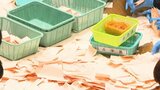 大分県議選 6票差で落選候補の異議棄却 県選管「再点検必要とする理由認められない」 | 大分のニュース|OBS NEWS|大分放送