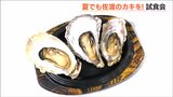 「夏でも身の引き締まったカキが出荷可能に」新プロジェクト　水温4度 海洋深層水で育てた佐渡 加茂湖のカキ　|TBS NEWS DIG