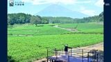 「いつでも」美しい富士山撮れます 茶畑の絶景地で"セルフ撮影サービス"始動 新スポット誕生で観光客の集客へ=静岡・富士市 | 静岡のニュース | SBSNEWS | 静岡放送
