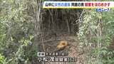 奈良県の山中で見つかった遺体　死体遺棄容疑で逮捕された男と同居していた女性と判明　殺害に関与した趣旨の供述も　奈良・大淀町|TBS NEWS DIG