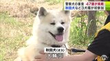嘱託警察犬の審査会に47頭が参加　60年超の歴史で初の「ウェルシュコーギー」「ミニチュアダックスフンド」など参加　うち秋田犬の『大輔（おおすけ）』5歳は訓練の成果をうまく発揮できず…　|　青森のニュース│ATV NEWS│青森テレビ