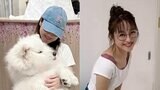 【鈴木奈々】モフモフのサモエドを抱っこ 「お腹の上で寝てくれた」思わずメロメロ|TBS NEWS DIG