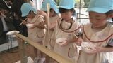 子どもと楽しめる夏限定のイベント 愛知・安城市のデンパークで7月18日から 1日100食限定の“流しそうめん”も | 名古屋・愛知・岐阜・三重のニュース【CBC news】 | CBC web