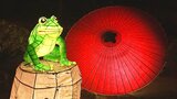 国の重要文化財 草野本家が夜間特別公開へ ランタンのあかりが幻想的な雰囲気を演出 大分 | 大分のニュース|OBS NEWS|大分放送