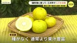 「鍋料理にぜひ…」　黄色く色づいたユズの収穫始まる　出来は例年通り　広島県三次市|TBS NEWS DIG