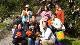 全国一の屋久島タンカン 農家と長期滞在者が一緒にオランジェづくり 今季はヒヨドリ被害で収穫減↓ | 鹿児島のニュース|MBC NEWS|南日本放送