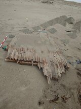 海岸に漂着している木造船の一部とみられる木片発見 周囲に人影や遺留物なし(山形・酒田市) | 山形のニュース│TUYテレビユー山形