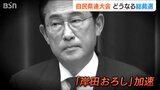 “岸田下ろし”の声が高まる中『新しい党の顔』についてどう考える?新潟県の国会議員に聞く|TBS NEWS DIG