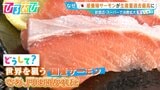 安くて新鮮な『国産サーモン』が世界を狙う!“海なし”でも養殖!?世界進出のカギは【ひるおび】|TBS NEWS DIG
