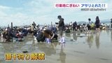 アサリとれた !  潮干狩り解禁　干潟に1000人  　　|　熊本のニュース｜RKK NEWS｜RKK熊本放送