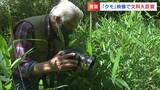 「女郎蜘蛛に魅せられて」70歳で覚えた動画編集 土産物店の男性が10年かけ撮影し「文部科学大臣賞」受賞|TBS NEWS DIG