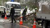 “湿った重い雪”なので倒木などに注意 スキー場では恵みの雪「きょう雪が良くて最高です」 tbc気象台 | 宮城のニュース│tbc NEWS│tbc東北放送