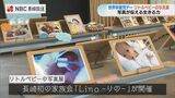 「生きる力を感じて」“リトルベビー“の写真展 | 長崎のニュース | 天気 | NBC長崎放送