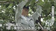 「真っ黒やな」親子グマ3頭がまた目撃…男性襲った同一個体か　市は捕獲に向けて箱わな設置【富山・南砺市】　|　富山のニュース｜天気・防災｜チューリップテレビ