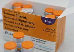 米国で百日ぜきが猛威、1950年代以来の急速な流行拡大| TBS CROSS DIG with Bloomberg