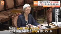 政治資金規正法改正案　参院で政治学者などから意見聴取　改正案に残る「検討」に疑問の声| TBS CROSS DIG with Bloomberg