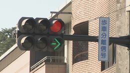 変更に次ぐ変更「これで完成ということにはならない」ドライバー混乱の交差点が2度目の通行区分変更…"歩車分離式信号"で渋滞緩和の効果は?|TBS NEWS DIG