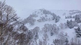 速報「男性１人が埋まっている」北海道・上富良野岳で、バックカントリーをしていた男性１人が雪崩に巻き込まれる　外国籍か  ヘリで救助、意識不明の重体で病院搬送|TBS NEWS DIG
