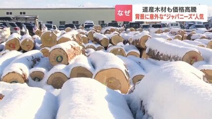 なぜ？丸太1本が460万円…北海道産「マカバ」に高値 国産材の高騰続く
