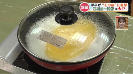 エミューの卵（食用） きやまファームオンラインショップ / エミューの卵（孵化及び食用）