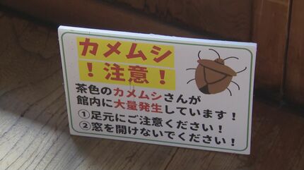 カメムシの肩をつかんで、ポイって外に投げるんですけど…」調べ続けて