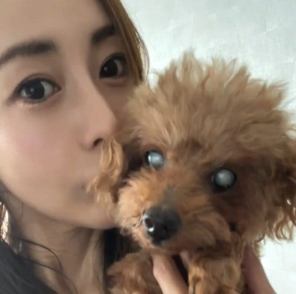 【 熊切あさ美 】　愛犬との別れを報告　「まだ一緒にいたかった」「あまりに急すぎて　心がぽかんとしています」|TBS NEWS DIG