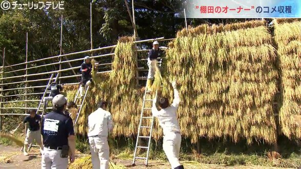 大雨被害を乗り越え30年目の収穫!富山県氷見市で「日本の棚田百選」稲刈り体験、自宅全壊の生産者も誓う復興への一手 | 富山のニュース|天気・防災|チューリップテレビ