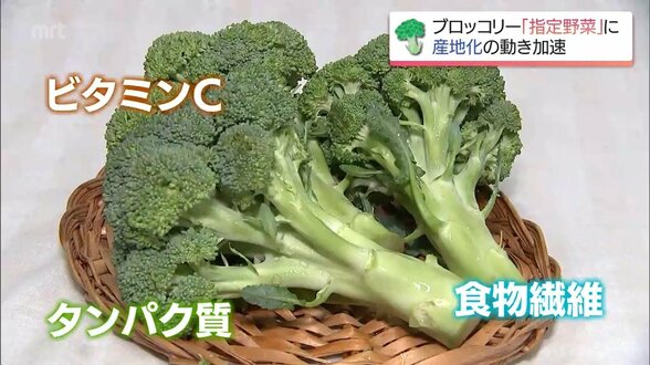 52年ぶりの"指定野菜"昇格「ブロッコリー」　宮崎県内で"産地化"目指す取り組み　|　MRTニュース ｜ ＭＲＴ宮崎放送
