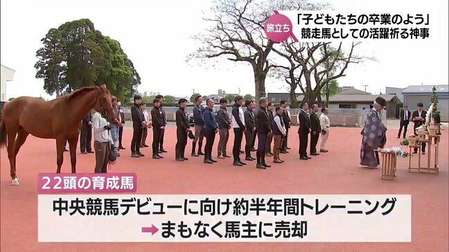 育成馬たちの今後の活躍と安全を祈願 JRA宮崎育成牧場で「退厩神事」|TBS NEWS DIG