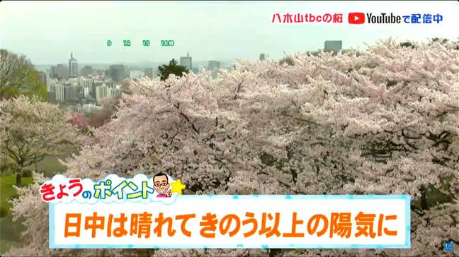「日中は晴れて前日以上の陽気に 内陸では夏日となる所もある見込み」18日 宮城の天気|TBS NEWS DIG