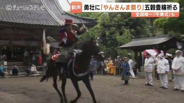 「射抜いた矢は魔除けに」加茂神社の春の大祭『やんさんま祭り』 疾走する馬から矢を放つ勇壮な"流鏑馬"に歓声|TBS NEWS DIG