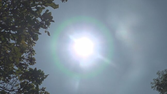 東日本は統計史上最も暑い6月中旬 全国的に記録的な高温 気温の高い状態は更に1か月程度は続く見込み 【北・東・西日本と奄美地方】|TBS NEWS DIG