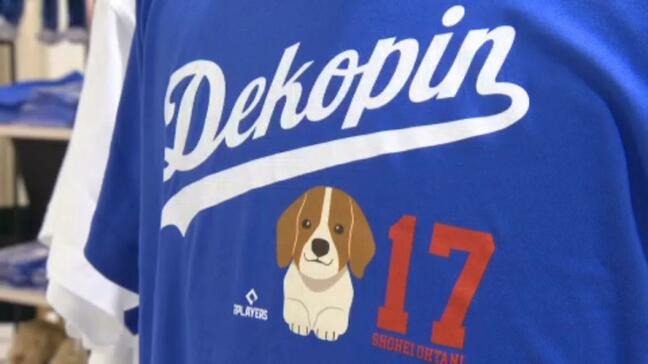 大谷翔平選手のユニフォームに、デコピングッズも!大谷選手のグッズを集めた期間限定ショップがオープン|TBS NEWS DIG
