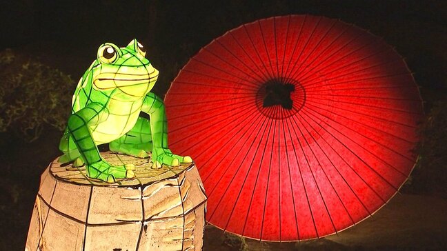 国の重要文化財 草野本家が夜間特別公開へ　ランタンのあかりが幻想的な雰囲気を演出　大分|TBS NEWS DIG