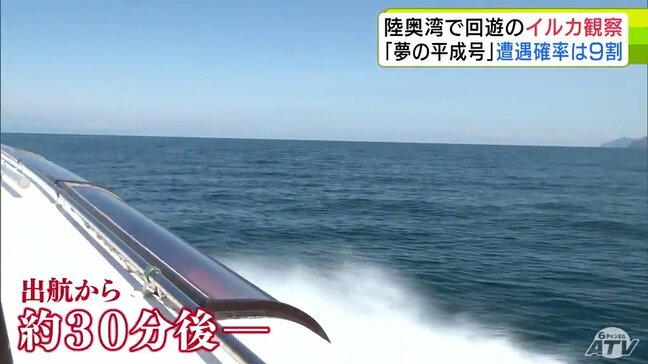 お目当ては「野生のカマイルカ」子どもたちが約9割の確率でイルカと遭遇できる観光遊覧船でイルカウォッチング　カマイルカの性別は『背びれの形』で判別！|TBS NEWS DIG