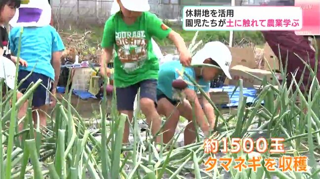 「楽しかったです。手はドロドロです!」休耕地を活用 園児たちが土に触れて農業学ぶ|TBS NEWS DIG
