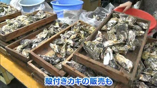 比較的カキ被害が小さい伊里漁協の「真魚市」 新鮮な海産物など市価よりも安く販売【岡山・備前市】|TBS NEWS DIG