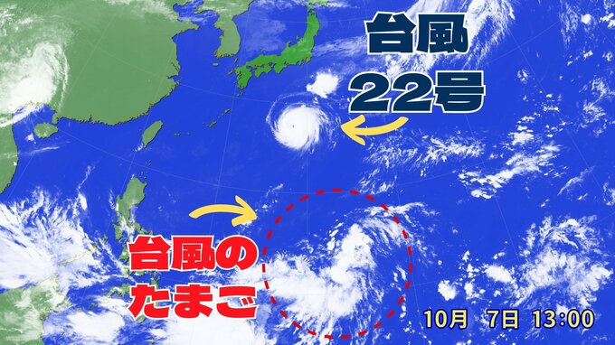 【台風情報】強い台風22号（960hPa）のはるか南に新たな「台風のたまご」＝熱帯低気圧  今後の進路に注意　台風22号が近づく伊豆諸島では暴風と大しけに警戒（7日午後4時半 記事更新）|TBS NEWS DIG
