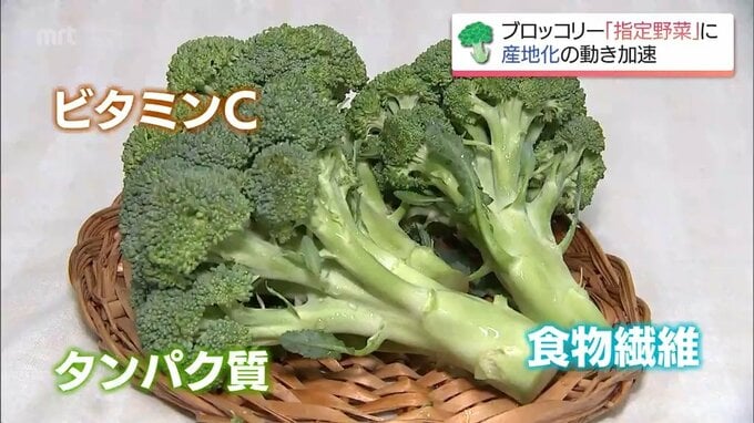 52年ぶりの"指定野菜"昇格「ブロッコリー」　宮崎県内で"産地化"目指す取り組み|TBS NEWS DIG