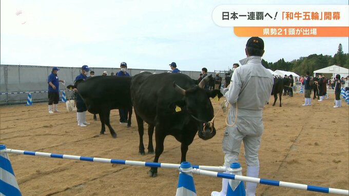 「和牛オリンピック」開幕　大分県勢は日本一連覇狙う　|　大分のニュース｜OBS NEWS｜大分放送