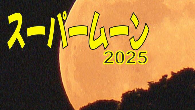 【スーパームーン2025】11月5日(水)夜に今年最大の満月 見頃は何時?なぜ大きく見える?|TBS NEWS DIG