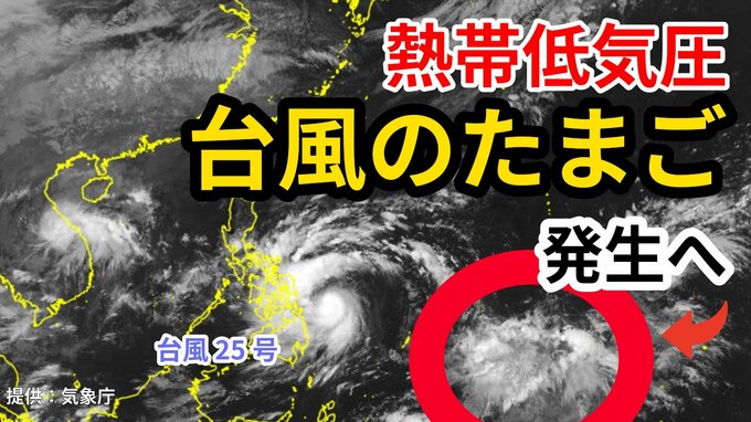 【台風情報】“台風25号”に続き 　4日にも新たな「熱帯低気圧＝台風のたまご」発生の見込み　台風へ発達か？気象予報士が解説　雨風シミュレーション【気象庁 3日 午後3時半発表】　|TBS NEWS DIG
