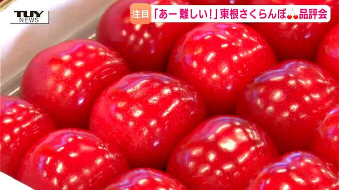 東根さくらんぼ　初競りで150万円（1キロ）で落札　東京・豊洲市場（山形）|TBS NEWS DIG