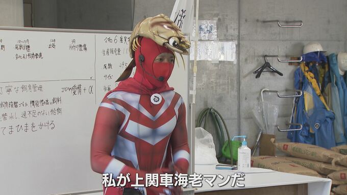 “上関車海老”を知ろう！「甘くてコリコリ！おいしい」産地見学ツアー　|　山口のニュース・天気・防災｜tys NEWS｜ｔｙｓテレビ山口
