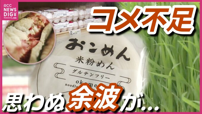「入手がすごく困難な状況」　コメ価格高騰の裏側で “飼料用米” や “米粉用米” がピンチ　生産大幅に減る見通し　ニワトリのエサに米粉うどん…影響は広範囲に　広島|TBS NEWS DIG