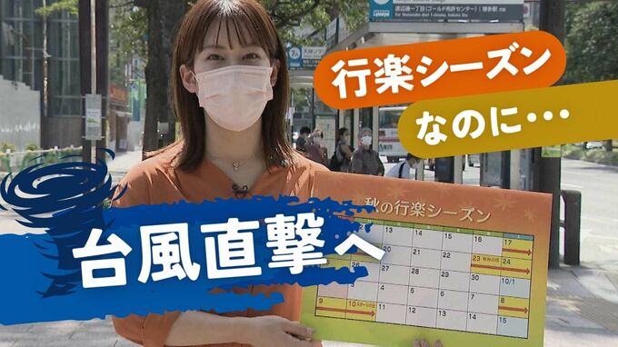 せっかくの3連休なのに・・・台風14号に“恨み節”ホテルの予約キャンセル相次ぐ~福岡|TBS NEWS DIG