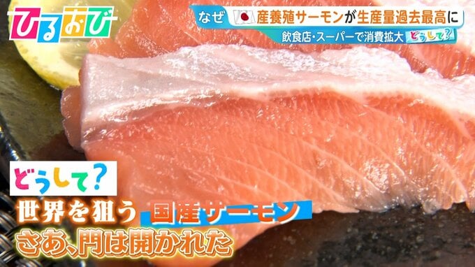 安くて新鮮な『国産サーモン』が世界を狙う！“海なし”でも養殖！？世界進出のカギは【ひるおび】|TBS NEWS DIG