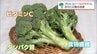 52年ぶりの"指定野菜"昇格「ブロッコリー」　宮崎県内で"産地化"目指す取り組み　|　MRTニュース ｜ ＭＲＴ宮崎放送