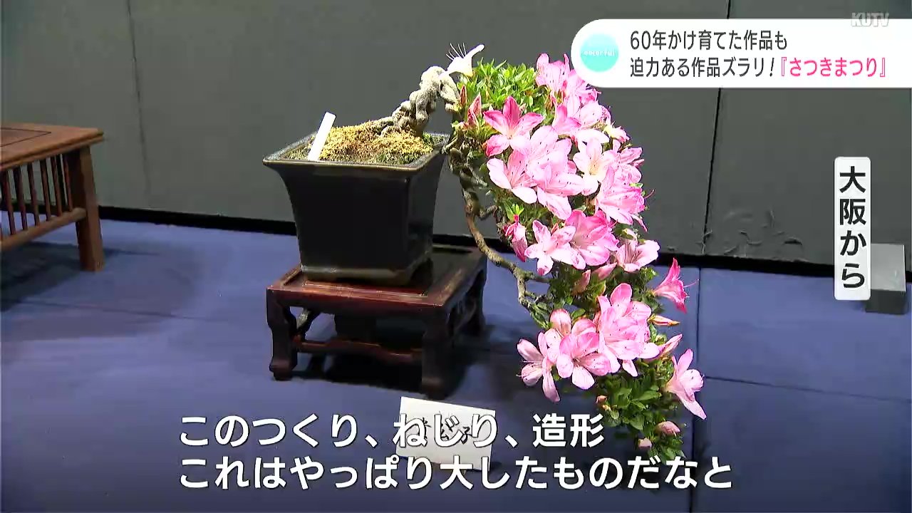 img_40fcf45c766a767d3a92ec4a19